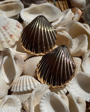 shell earrings