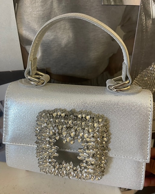 All I Want -Silver Bag