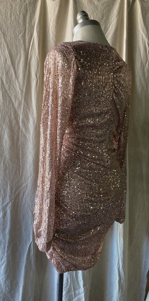 Holiday Desire - Sequin Dress